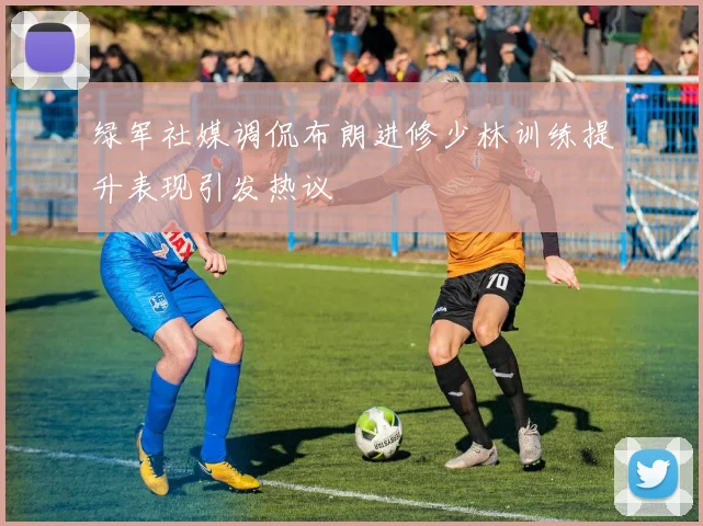 绿军社媒调侃布朗进修少林训练提升表现引发热议